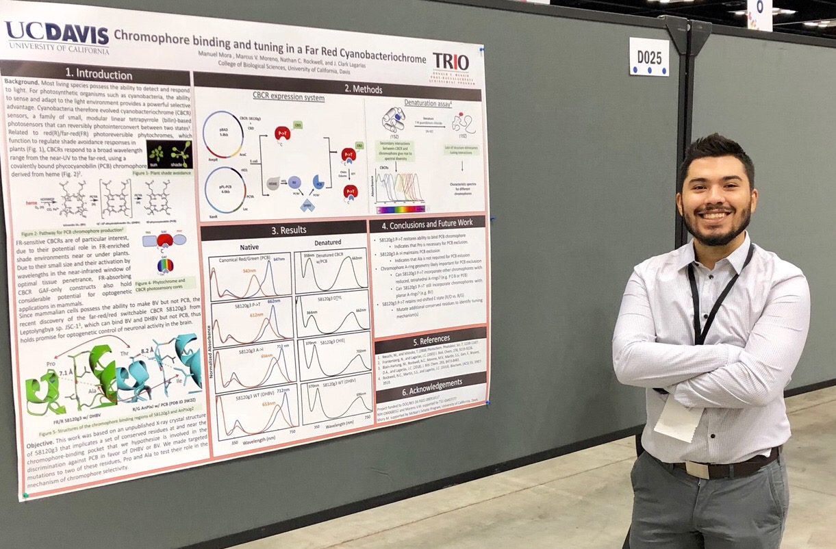 Manuel Mora Molecular Biology UC Davis McNair Program